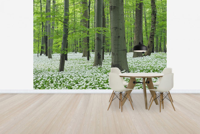 PHOTOWALL / Ramsons Forest (e40411)