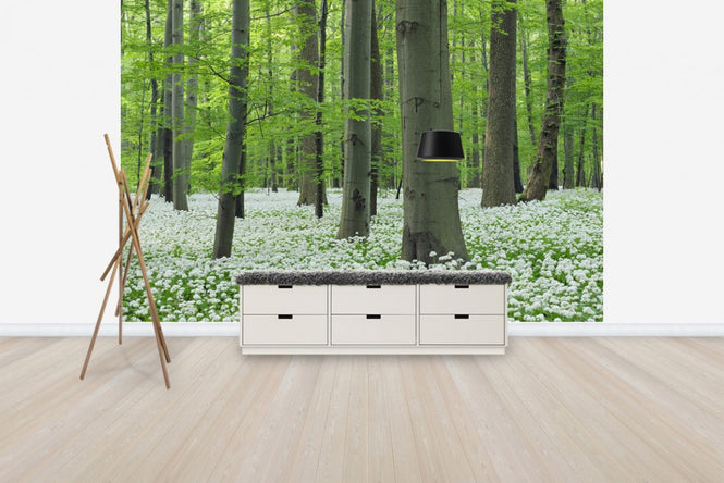PHOTOWALL / Ramsons Forest (e40411)