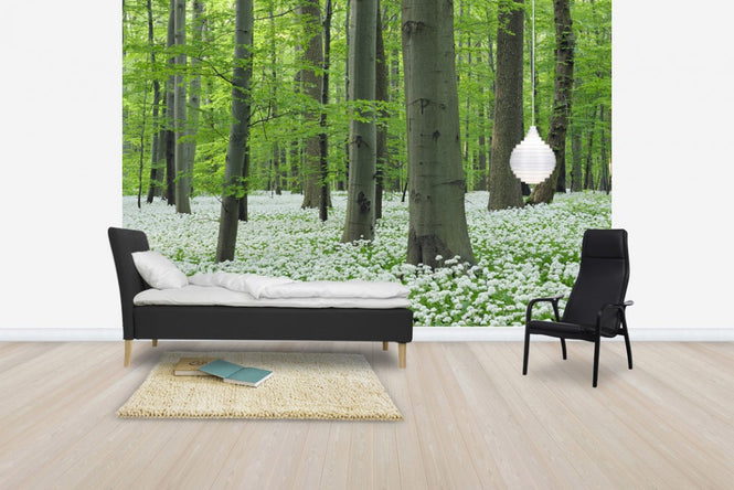 PHOTOWALL / Ramsons Forest (e40411)