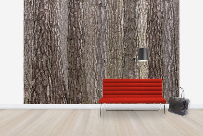 PHOTOWALL / Park Brown (e25094)