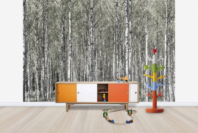 PHOTOWALL / Spring Birch Forest (e25109)