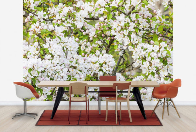 PHOTOWALL / Apple Flowers (e25116)