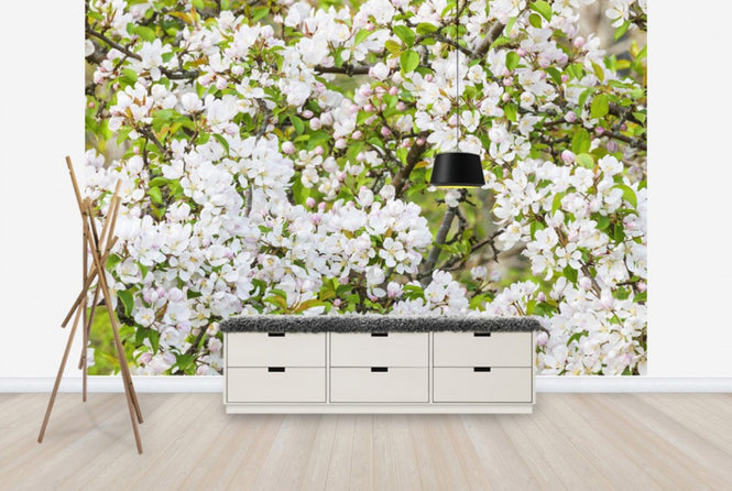 PHOTOWALL / Apple Flowers (e25116)