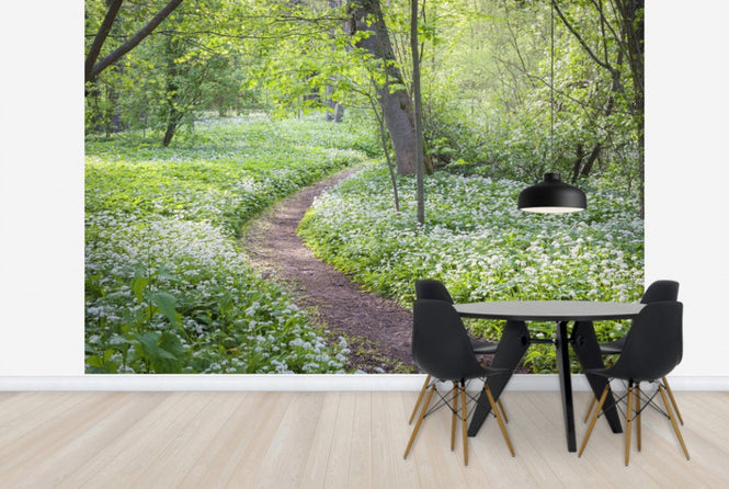 PHOTOWALL / Path (e25117)