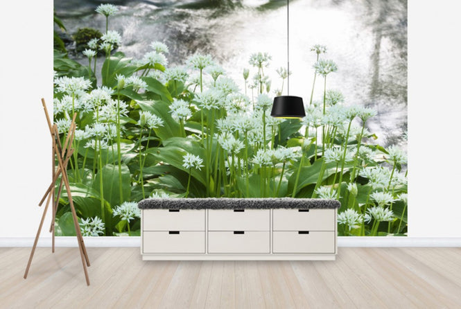 PHOTOWALL / Ramson (e25118)