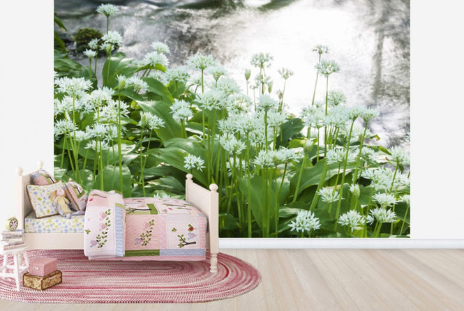 PHOTOWALL / Ramson (e25118)