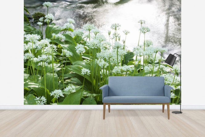PHOTOWALL / Ramson (e25118)