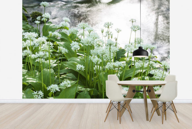 PHOTOWALL / Ramson (e25118)
