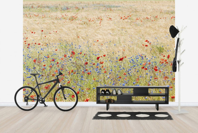 PHOTOWALL / Rye Field with Flowers (e25141)