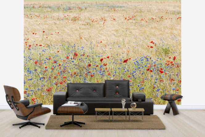 PHOTOWALL / Rye Field with Flowers (e25141)