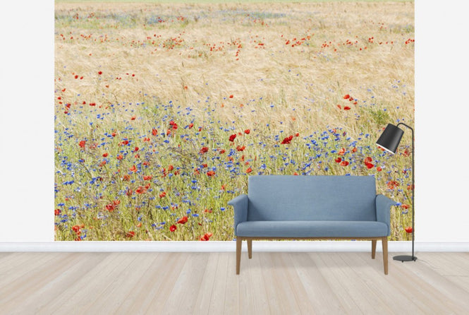 PHOTOWALL / Rye Field with Flowers (e25141)