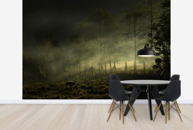 PHOTOWALL / Misty Morning (e29492)