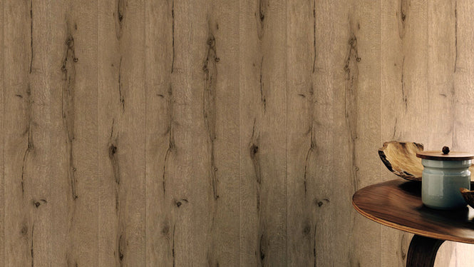 rasch ラッシュ / 514421 (Black Forest)