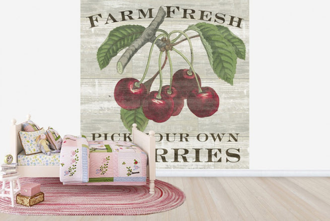 PHOTOWALL / Farm Fresh Cherries (e25640)