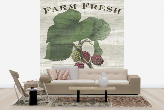PHOTOWALL / Farm Fresh Raspberries (e25641)