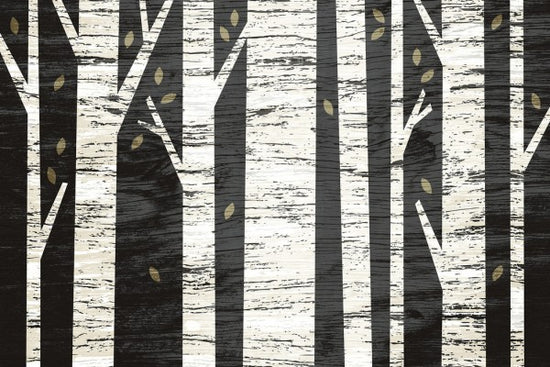 PHOTOWALL / Graphic Birch Forest (e25644)