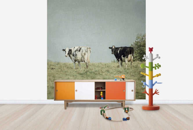 PHOTOWALL / Grazing Cows (e25645)