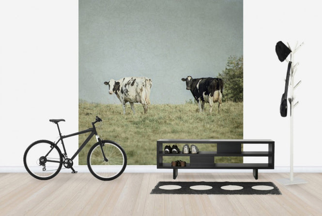 PHOTOWALL / Grazing Cows (e25645)