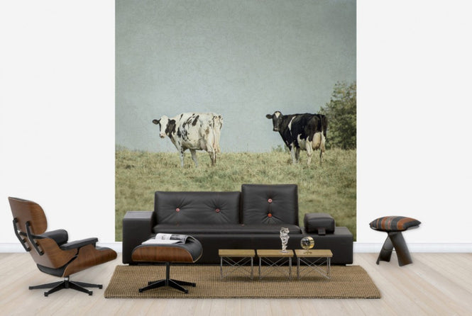PHOTOWALL / Grazing Cows (e25645)