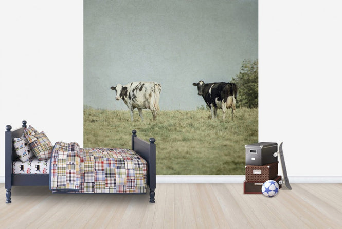 PHOTOWALL / Grazing Cows (e25645)