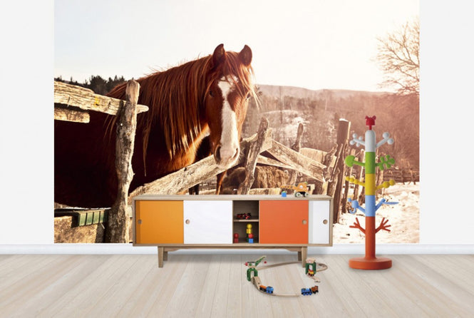 PHOTOWALL / Friendly Chestnut (e29589)