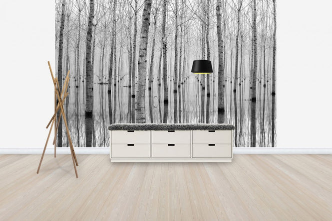 PHOTOWALL / November (e29621)