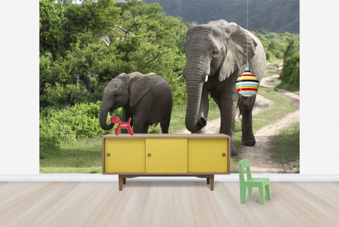 PHOTOWALL / Elephant Baby and Mother_ (e29606)