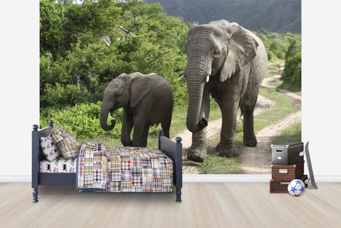 PHOTOWALL / Elephant Baby and Mother_ (e29606)