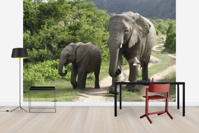 PHOTOWALL / Elephant Baby and Mother_ (e29606)