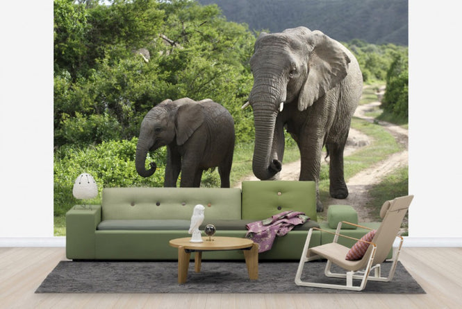 PHOTOWALL / Elephant Baby and Mother_ (e29606)