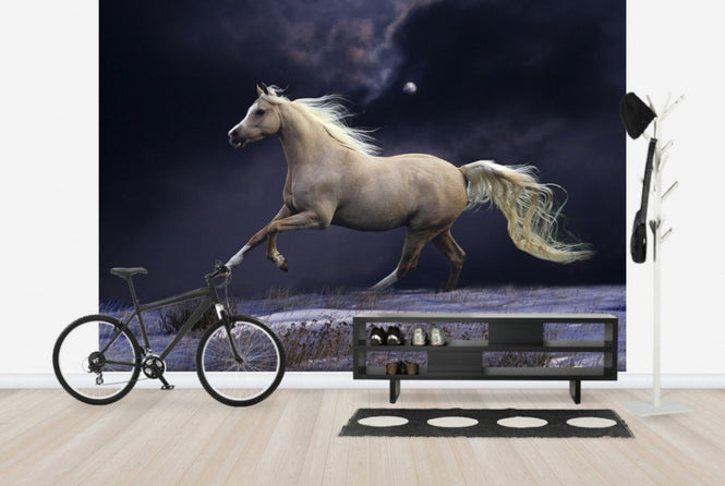 PHOTOWALL / Horse in Moonlight (e29612)