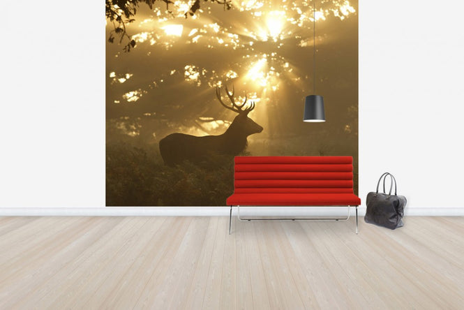 PHOTOWALL / Ghost of the Forest (e29627)