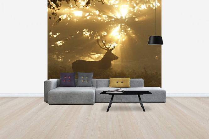 PHOTOWALL / Ghost of the Forest (e29627)