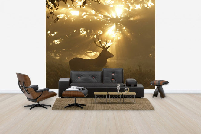 PHOTOWALL / Ghost of the Forest (e29627)