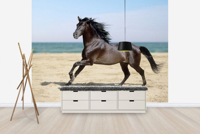 PHOTOWALL / Beach Horse (e29575)