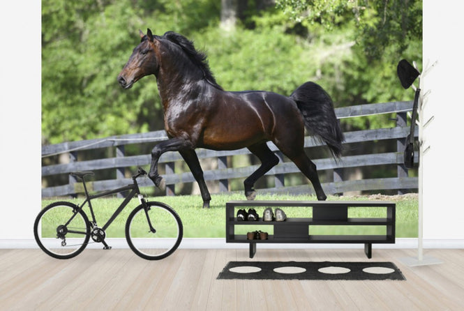 PHOTOWALL / Brown Horse in Paddock (e29577)