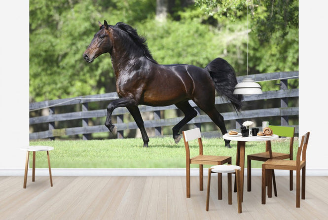 PHOTOWALL / Brown Horse in Paddock (e29577)