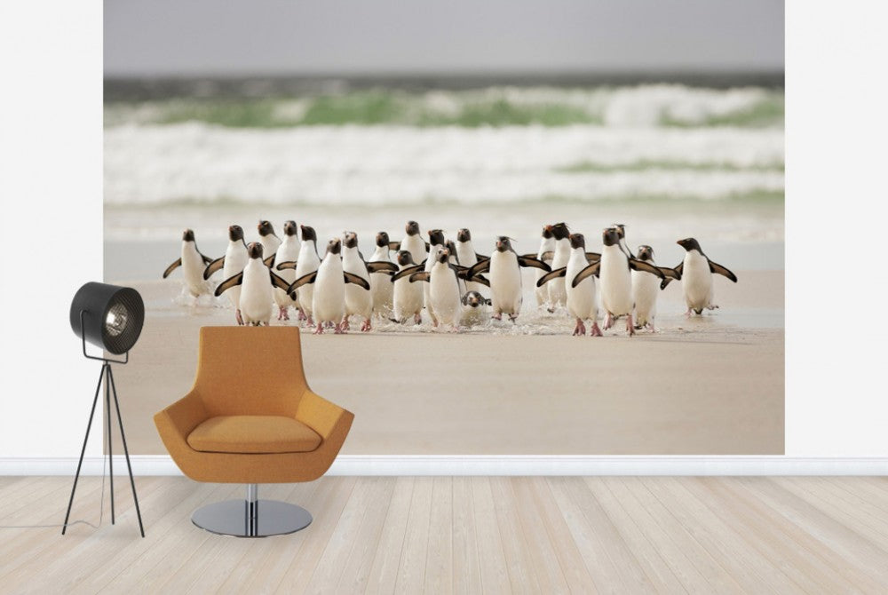 Zoom