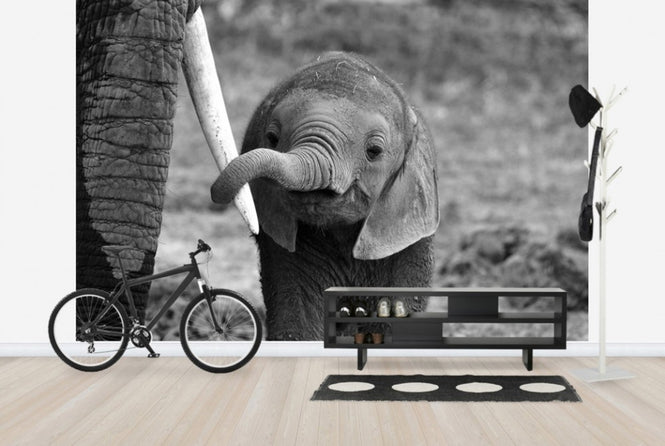 PHOTOWALL / Close (e29651)