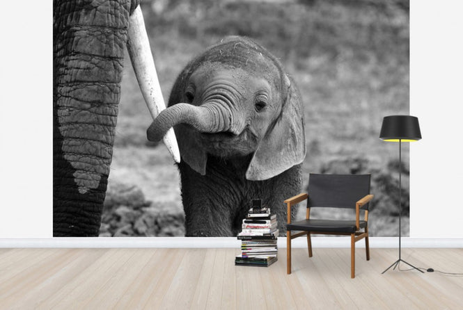 PHOTOWALL / Close (e29651)