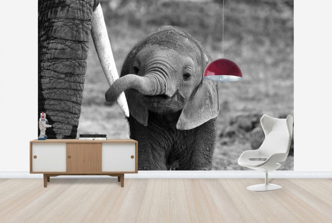 PHOTOWALL / Close (e29651)