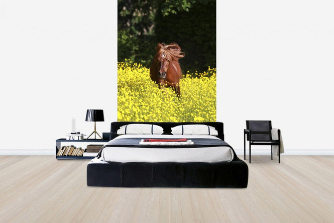 PHOTOWALL / Shetland Pony Running Through Buttercups (e29740)
