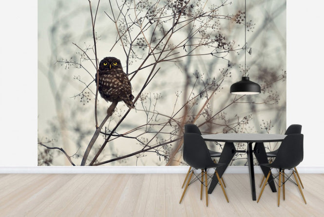 PHOTOWALL / Look at Me (e29901)