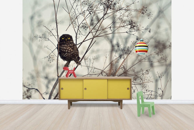 PHOTOWALL / Look at Me (e29901)