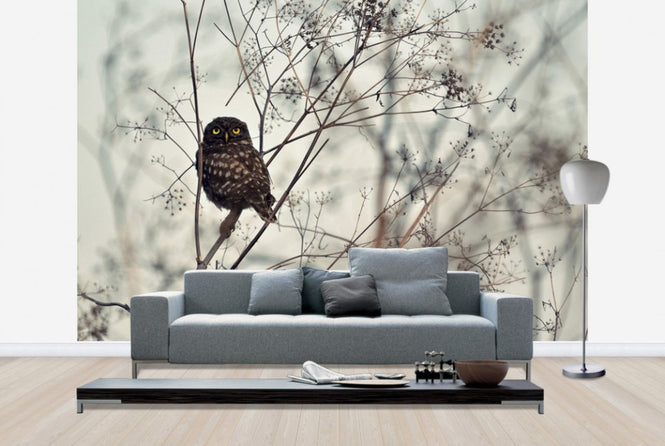 PHOTOWALL / Look at Me (e29901)