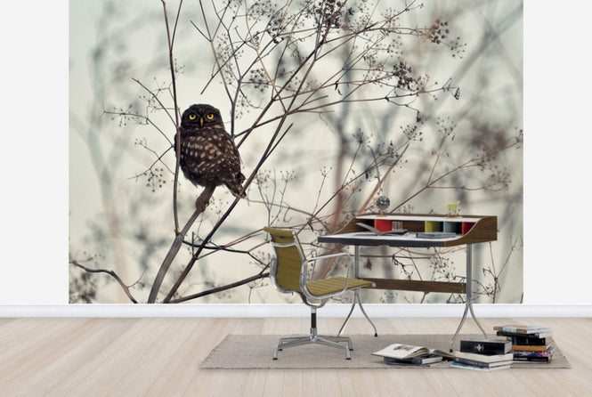 PHOTOWALL / Look at Me (e29901)