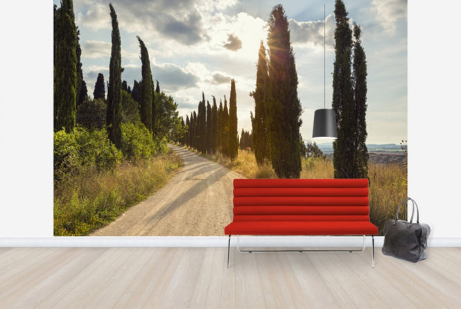 PHOTOWALL / Ponte D´arbia, Toscana (e29978)