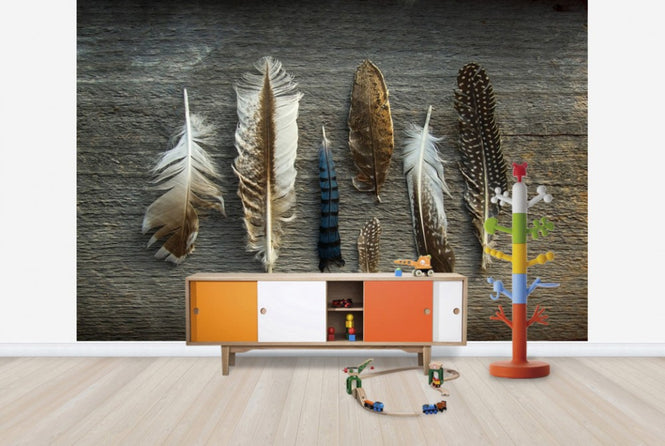 PHOTOWALL / Feathers on Wood (e25890)
