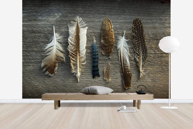PHOTOWALL / Feathers on Wood (e25890)