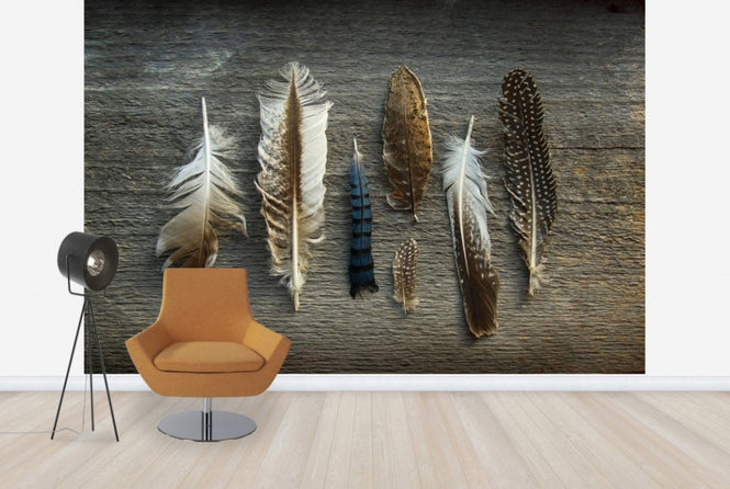 PHOTOWALL / Feathers on Wood (e25890)